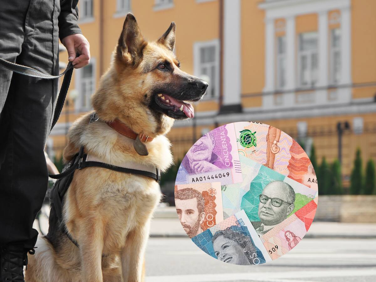 ¿Quiénes tienen derecho a la prima de orden público en Colombia? Equivale al 15%