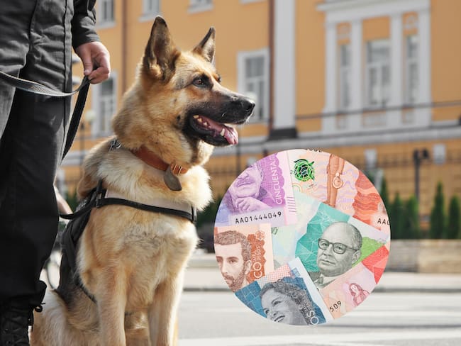 ¿Quiénes tienen derecho a la prima de orden público en Colombia? Equivale al 15%