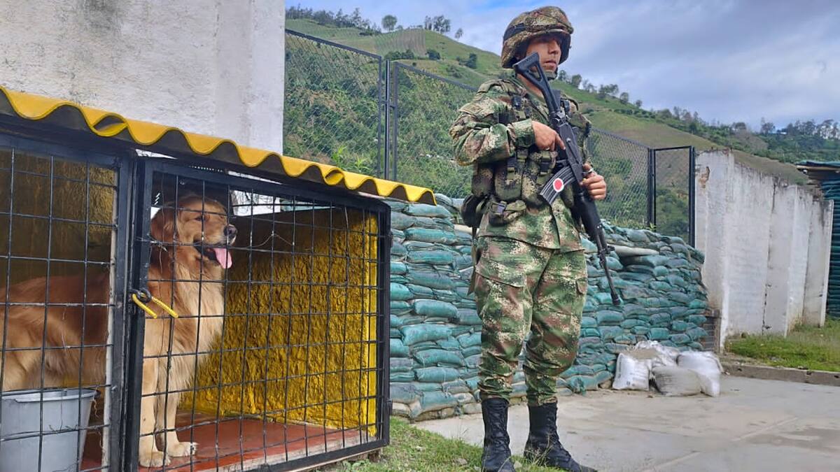 Asignan escolta a un perro del Ejército tras recibir amenazas de narcos