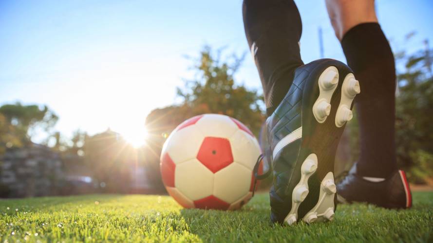 Cortesía: Shutterstock