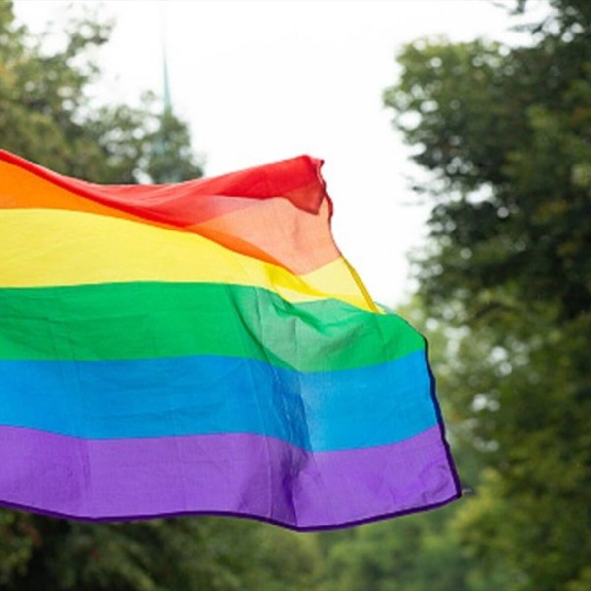Así se vivió la ‘besatón’ tras denuncia de homofobia en Bogotá