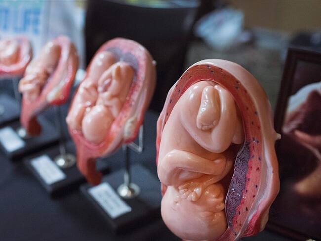 Un embrión congelado puede sobrevivir de 75 a 100 años para ser fertilizado: Jeffrey Keen