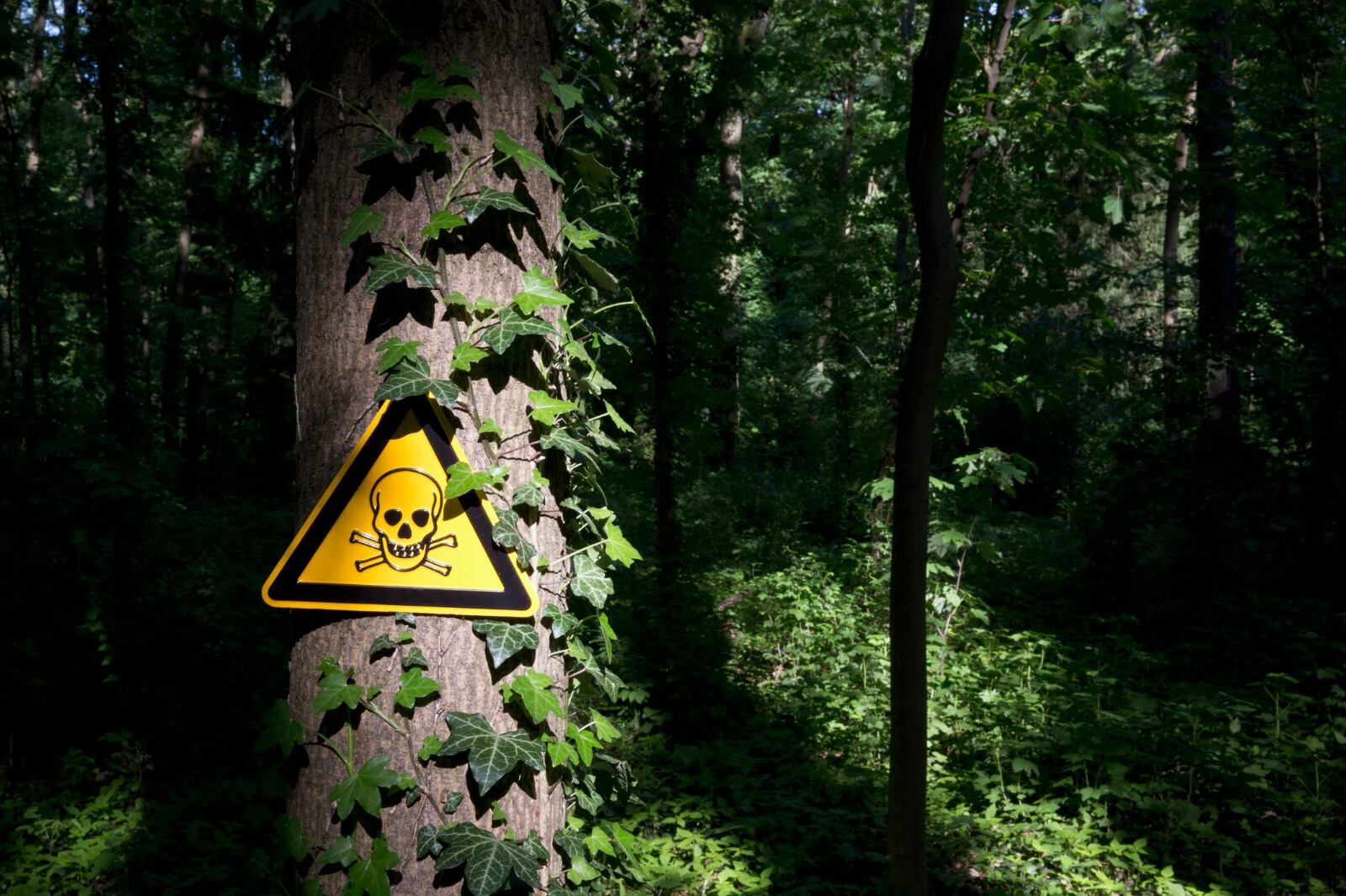 Imagen de referencia de lugar peligroso. Foto: Getty Images.