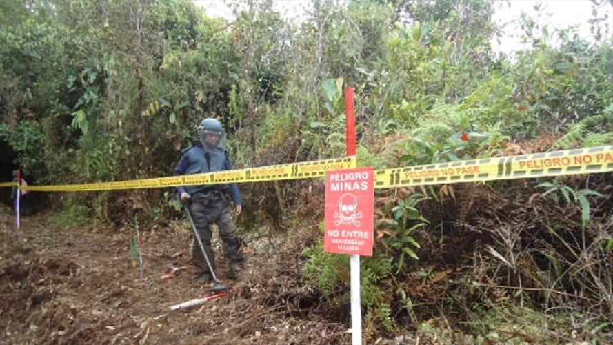 Imagen de referencia. Foto: Colprensa