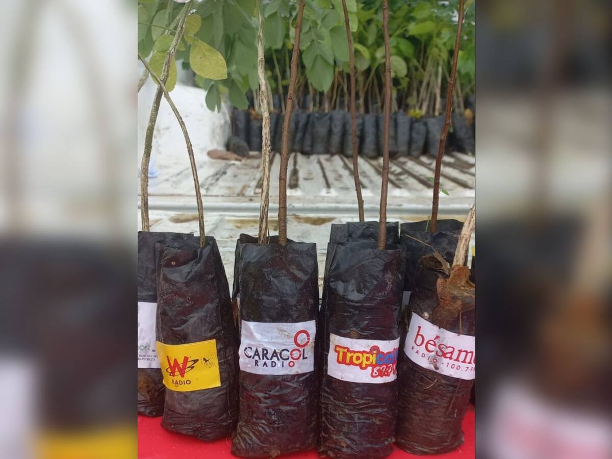 W Radio se unió a la celebración del Día Mundial de la Tierra con la donación de árboles