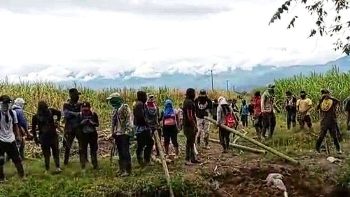 Dos trabajadores de la caña, heridos en un nuevo ataque armado en el norte del Cauca