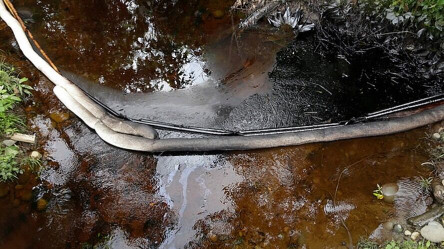 Imagen de referencia. Foto: Colprensa