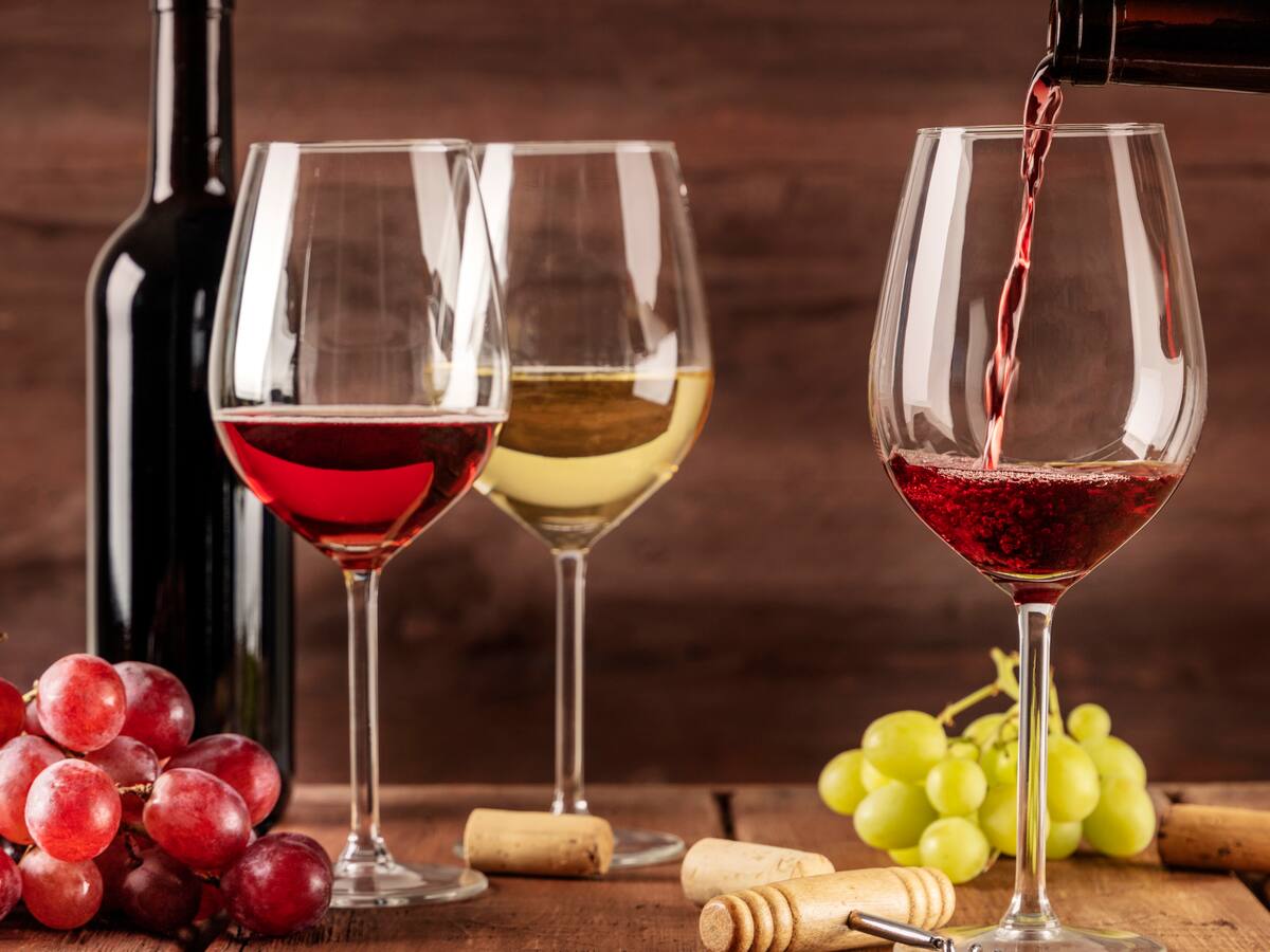 ¿Cuándo es Expovinos 2024? Valor de la boleta, cómo adquirirla y todo lo que incluye