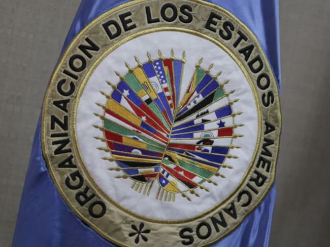 Jefa de misión electoral de la OEA en Ecuador pide la participación de todas las fuerzas. Foto: