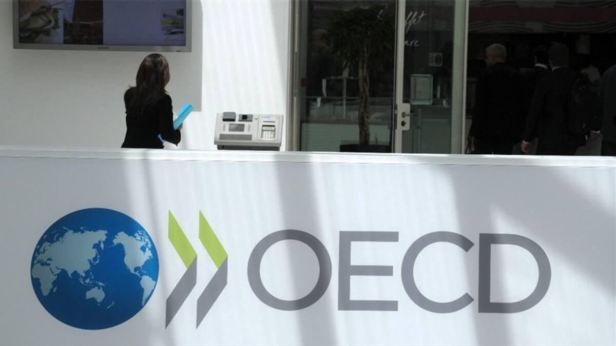 OCDE ve positiva la reforma tributaria de Petro pero hace recomendaciones