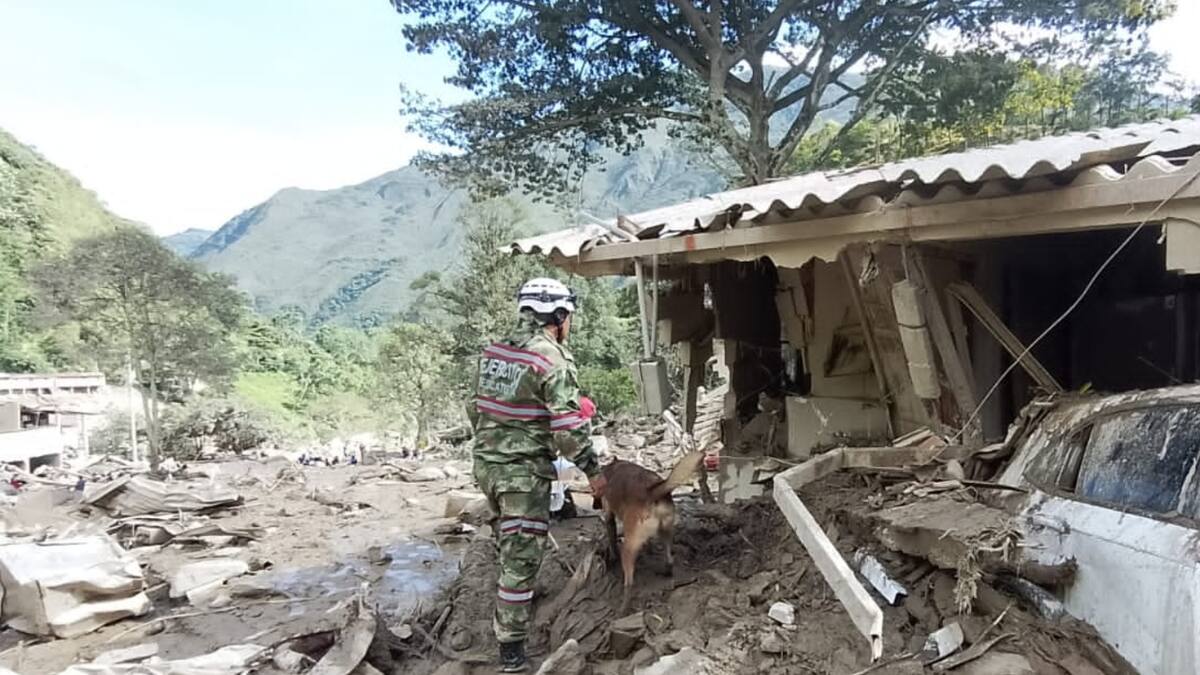 Avalancha en Quetame: Ministerio de Transporte adopta medidas para mitigar la emergencia