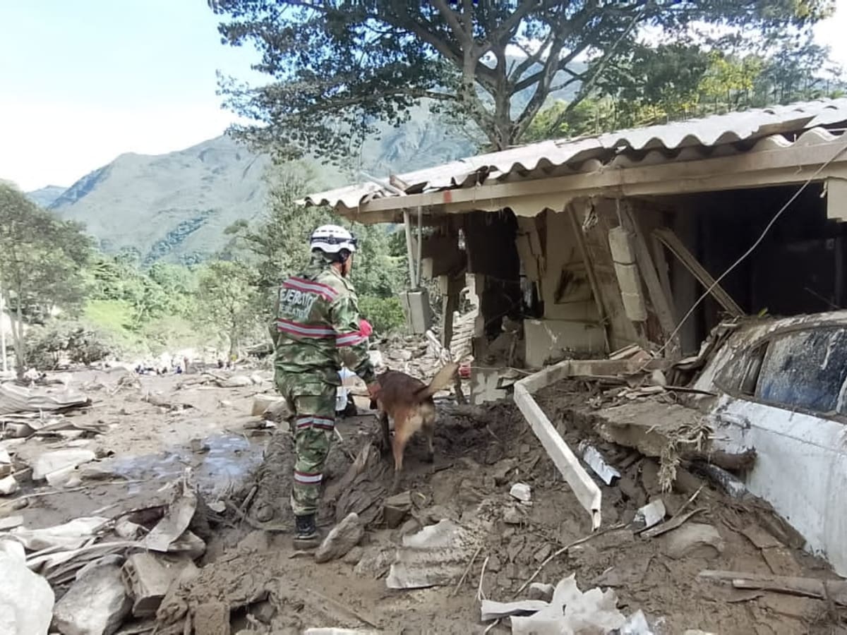 Coviandina le apuesta a puentes metálicos para reabrir la vía Bogotá – Villavicencio