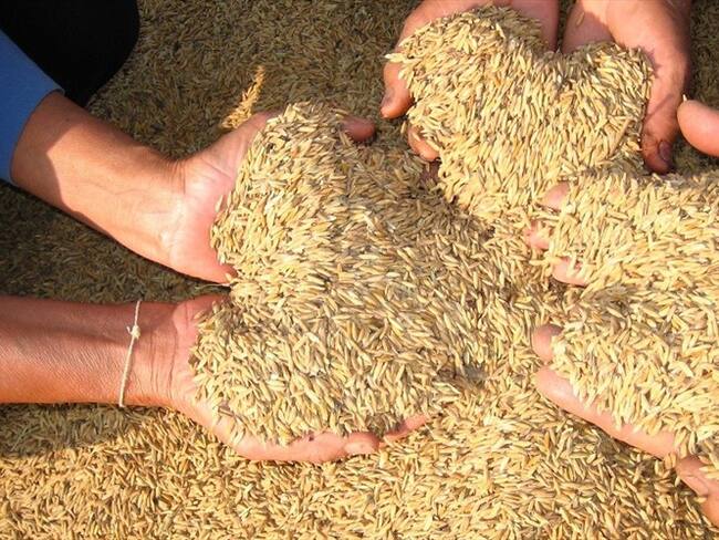 Imagen de referencia. Foto: Colprensa