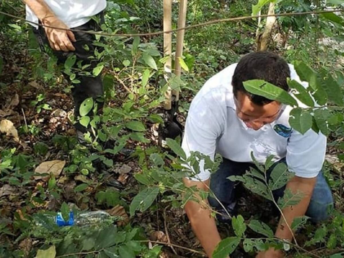 "Una pequeña chispa puede desatar un incendio”: Corpamag