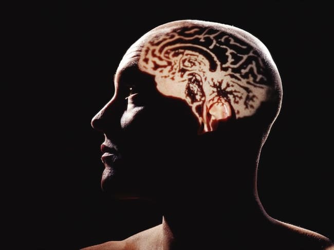 Por qué la ciencia necesita con urgencia tu cerebro. Foto: Getty Images