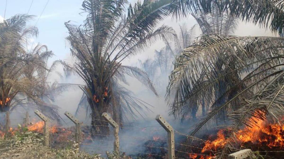Gestión del Riesgo informa de dos alertas naranja en Santa Marta ante el fuerte oleaje