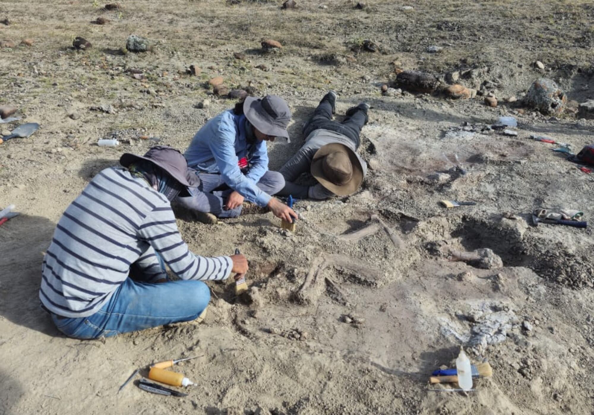 Museo de Historia Natural de la Tatacoa. Foto: Suministrada