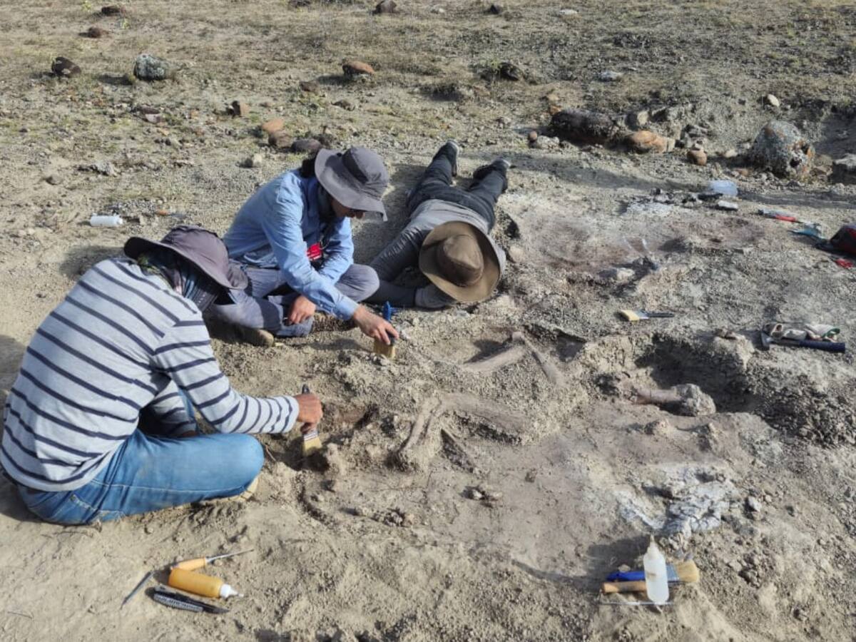 Museo de Historia Natural de la Tatacoa podría cerrar sus puertas