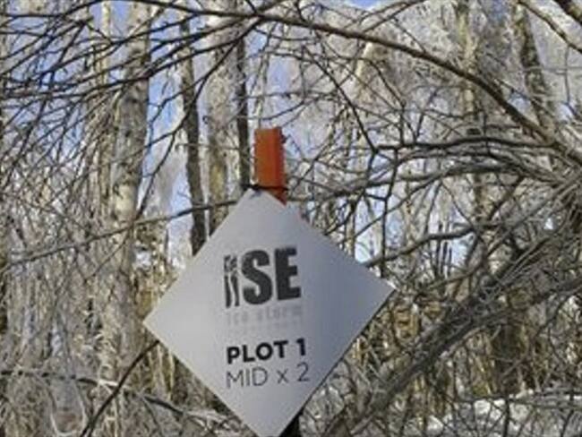 Científicos crean heladas para poder entenderlas mejor. Foto: Associated Press - AP