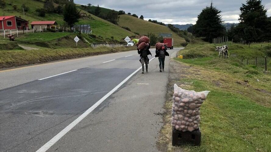 Gustavo Barrantes, productor de papa en Ventaquemada, destacó el ejercicio de la ciudadanía por incentivar el producto.. Foto: W