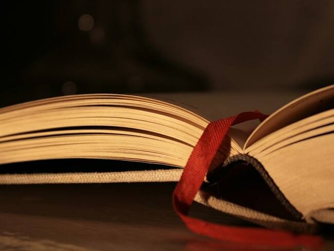 El ministerio alemán de Justicia propuso eliminar el término "raza" de la Constitución. Foto: Getty Images