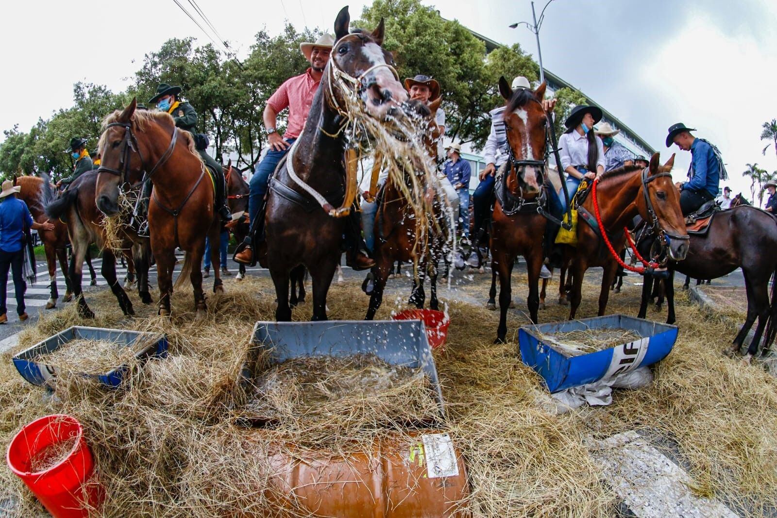 Cabalgata edición 65 de la Feria de Manizales. Crédito: Alcaldía de Manizales.