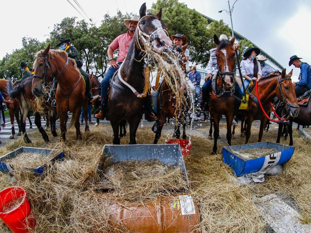 La Feria de Manizales inició su edición 65, con la tradicional cabalgata