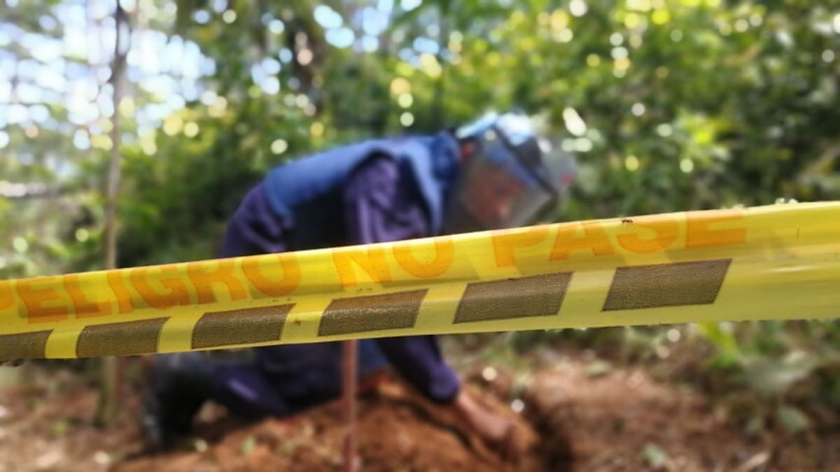 El difícil panorama del desminado humanitario en Colombia