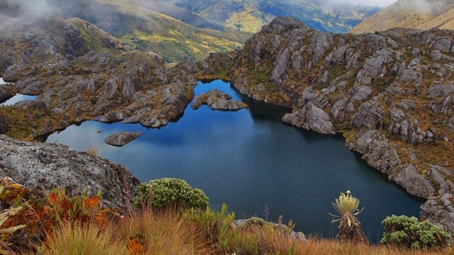 Existen inconsistencias en la delimitación del páramo de Santurbán: Alcaldes de Norte de Santander. Foto: Colprensa