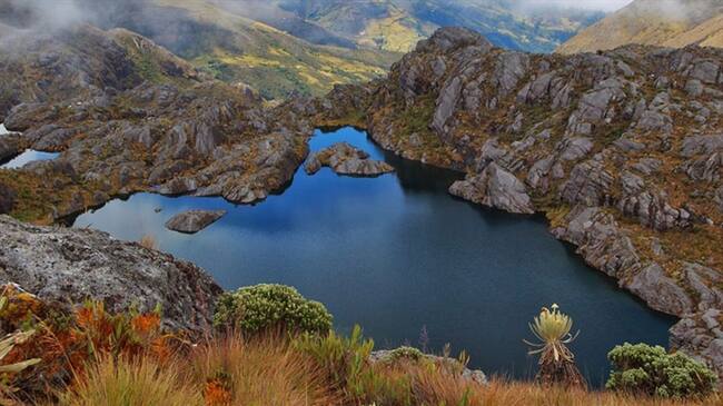 Existen inconsistencias en la delimitación del páramo de Santurbán: Alcaldes de Norte de Santander. Foto: Colprensa