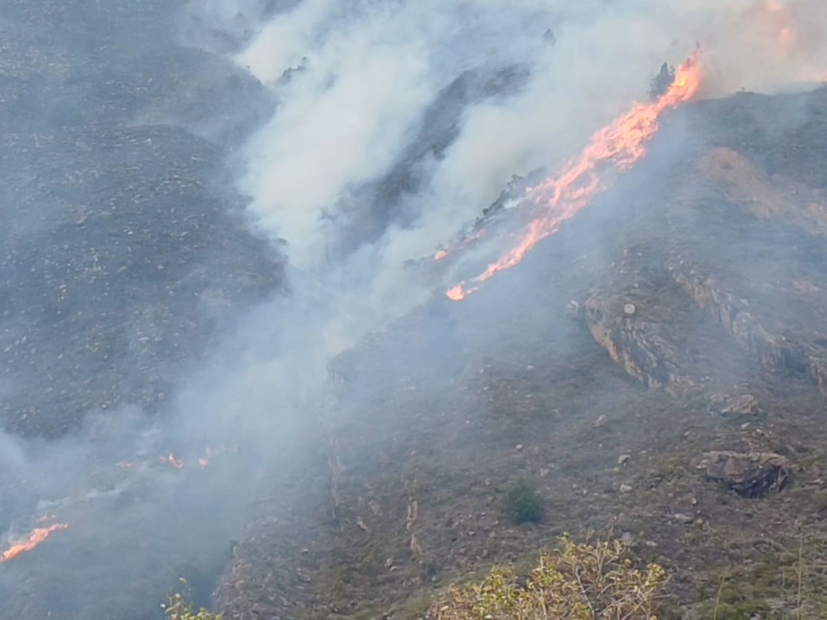 Procuraduría intensifica seguimiento a la respuesta por incendio forestal en Villa de Leyva