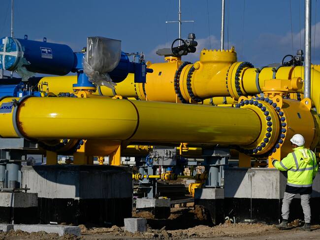 Japón asegura que no tiene la intención de retirarse de un proyecto de gas con Rusia