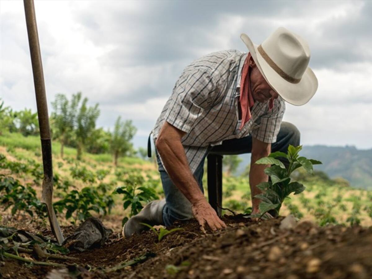 Finagro responde a alerta sobre concentración de créditos subsidiados para el agro