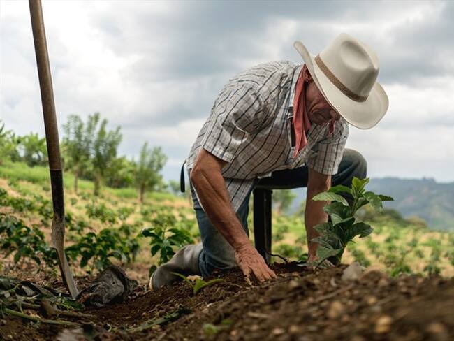 Finagro responde a alerta sobre concentración de créditos subsidiados para el agro