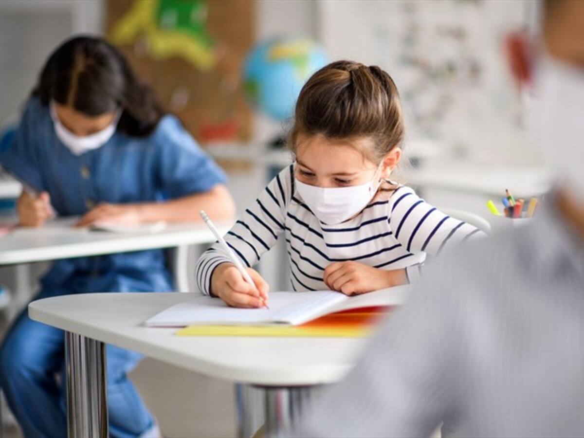 Regreso a clases: ¿por qué algunos maestros no volverán a la presencialidad?