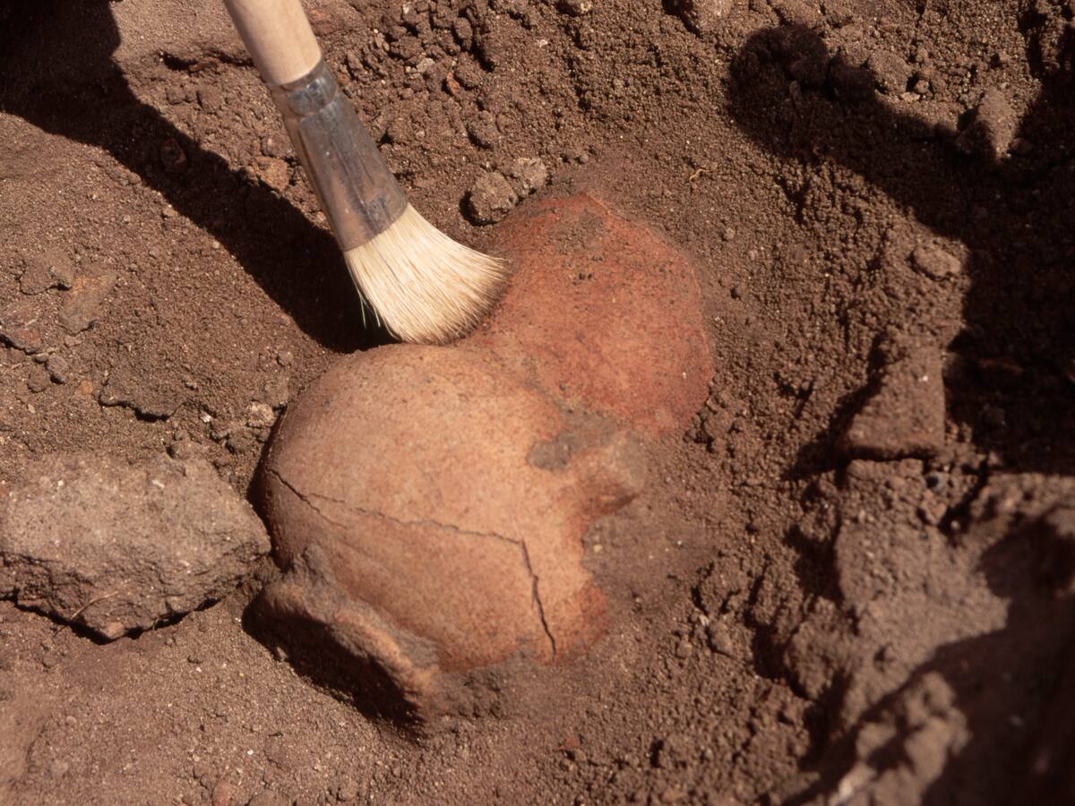 Arqueólogo peruano detalló cómo fue descubrir los restos de una ciudad de hace más de 3.000 años