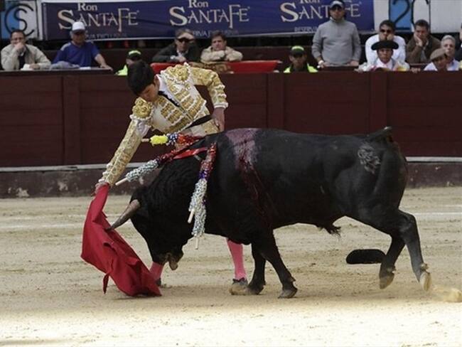 Alcaldía de Bogotá estudia términos para la consulta antitaurina. Foto: Colprensa