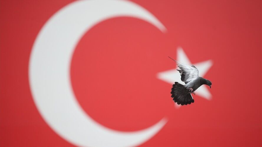 La hoja de vida de Julio Aníbal Riaño fue publicada en el portal de aspirantes de la Presidencia de la República. Foto: Getty Images