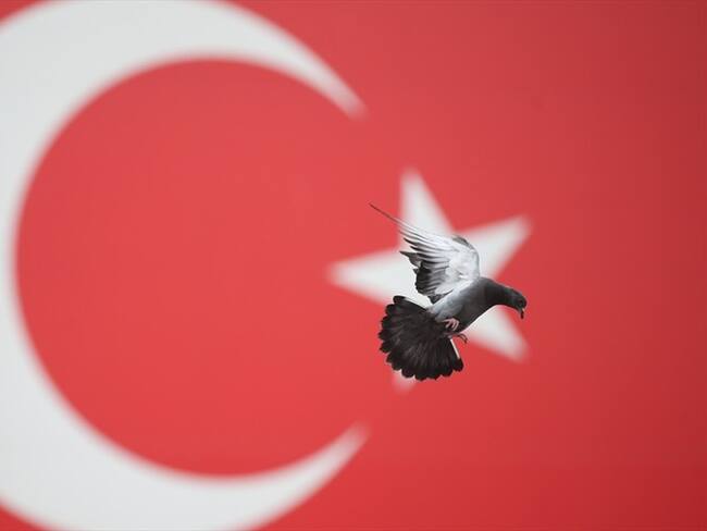 La hoja de vida de Julio Aníbal Riaño fue publicada en el portal de aspirantes de la Presidencia de la República. Foto: Getty Images