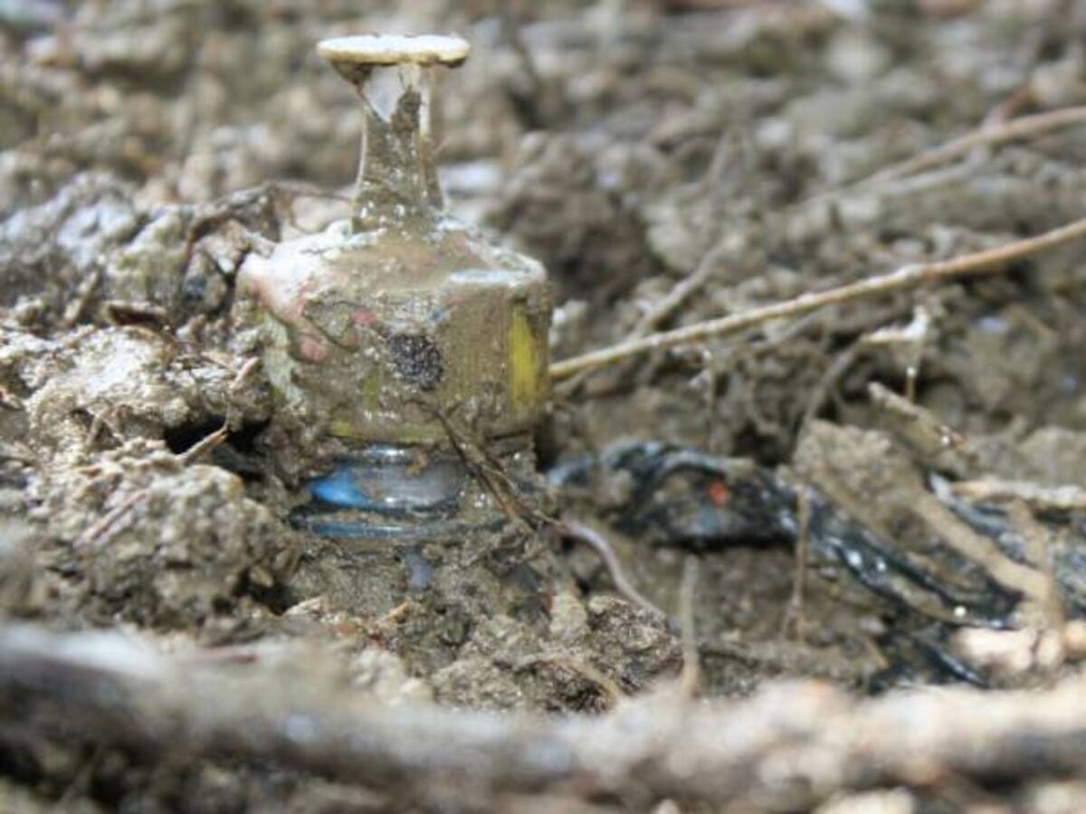 Municipio del Cauca será la primera zona que Gobierno declare libre de minas antipersonal