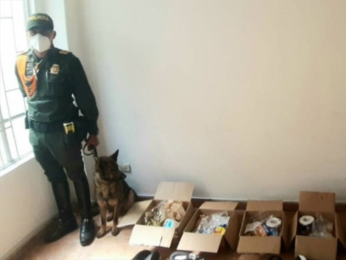 Incautan éxtasis, cocaína y marihuana que tenía como destino la cárcel de Cómbita