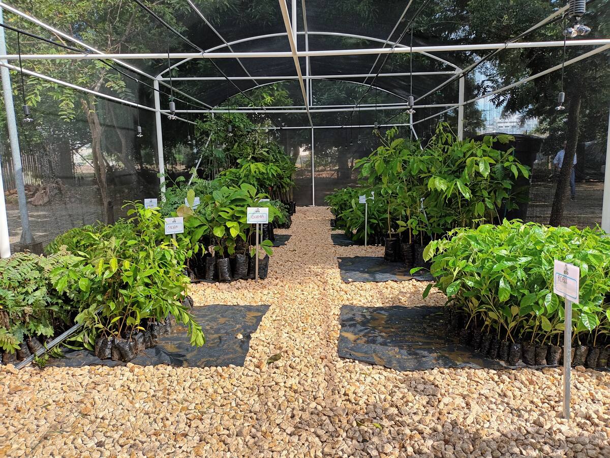 Inauguran moderno vivero bioclimático con capacidad para producir 30.000 plántulas en Córdoba