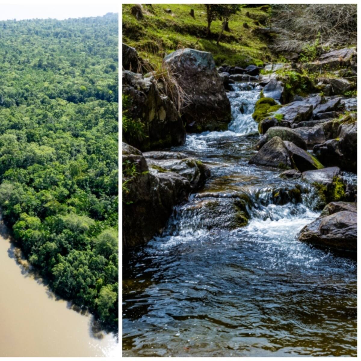 Diferencias entre una quebrada y un río: ¿Nacen de la misma forma?