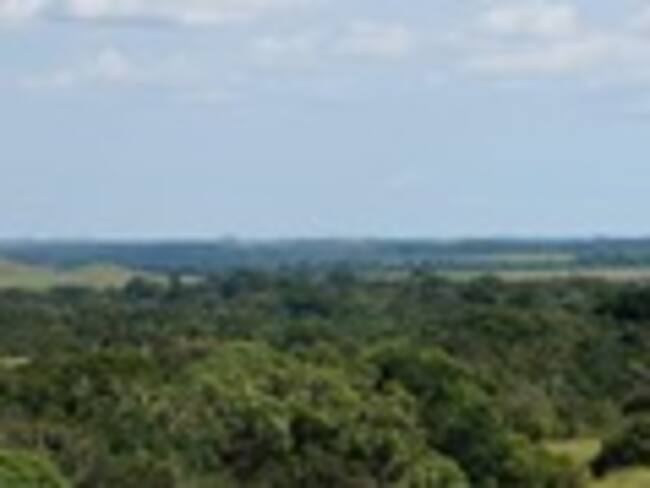 Imagen de referencia.