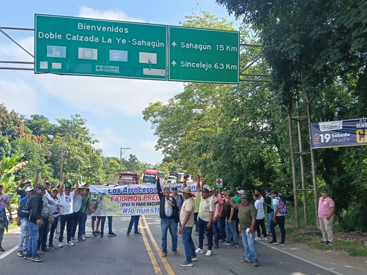 Arroceros de La Mojana sucreña reactivaron bloqueo en la Troncal de Occidente, en Sahagún, Córdoba