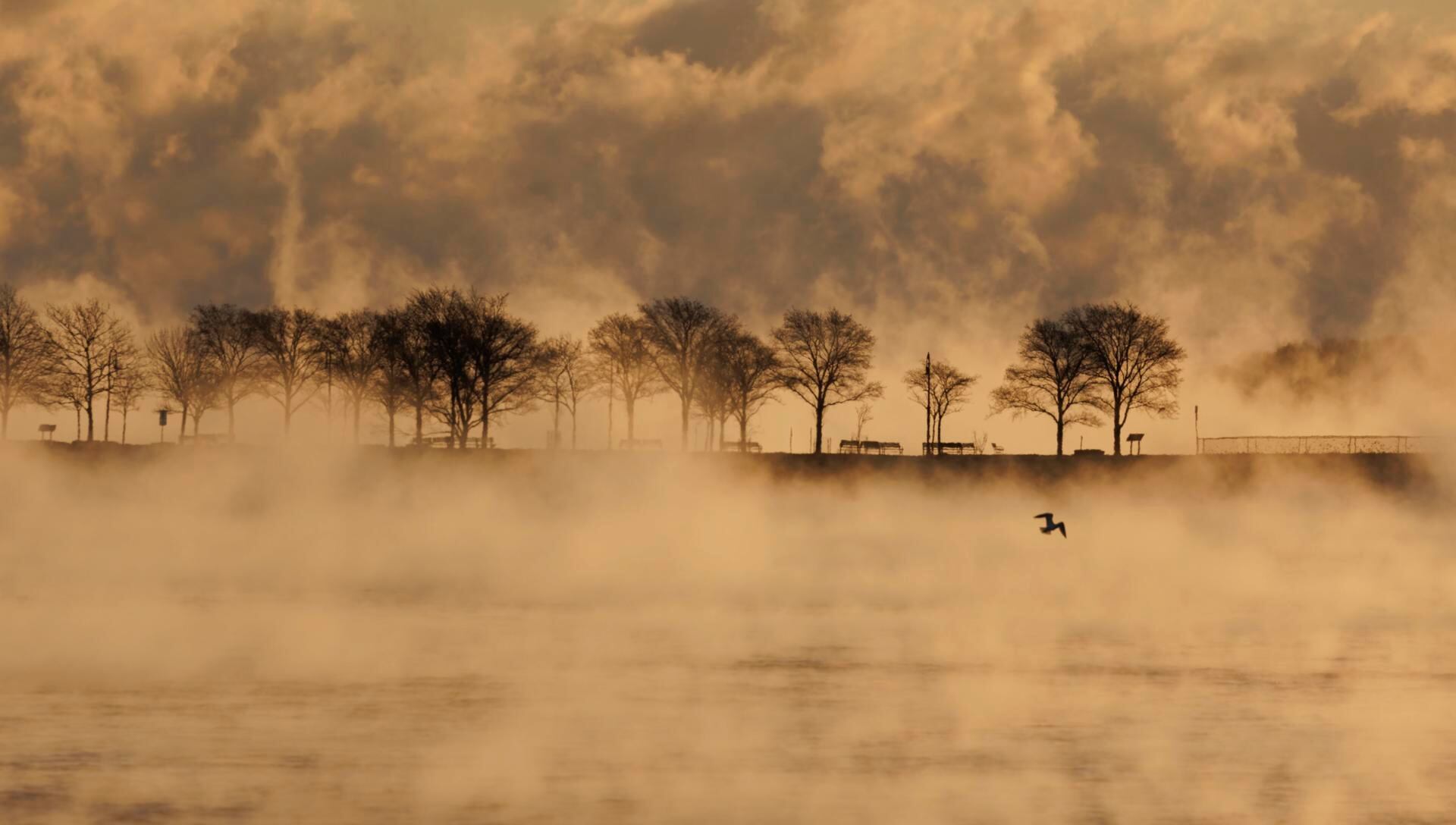 Bruma en la bahía Pleasure en Boston, Massachusetts, Estados Unidos. Foto: EFE/ Cj Gunther