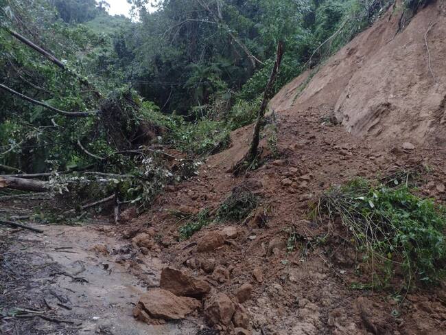 Cafeteros de la Sierra Nevada lanzan un S.O.S porque la vía de acceso colapsó