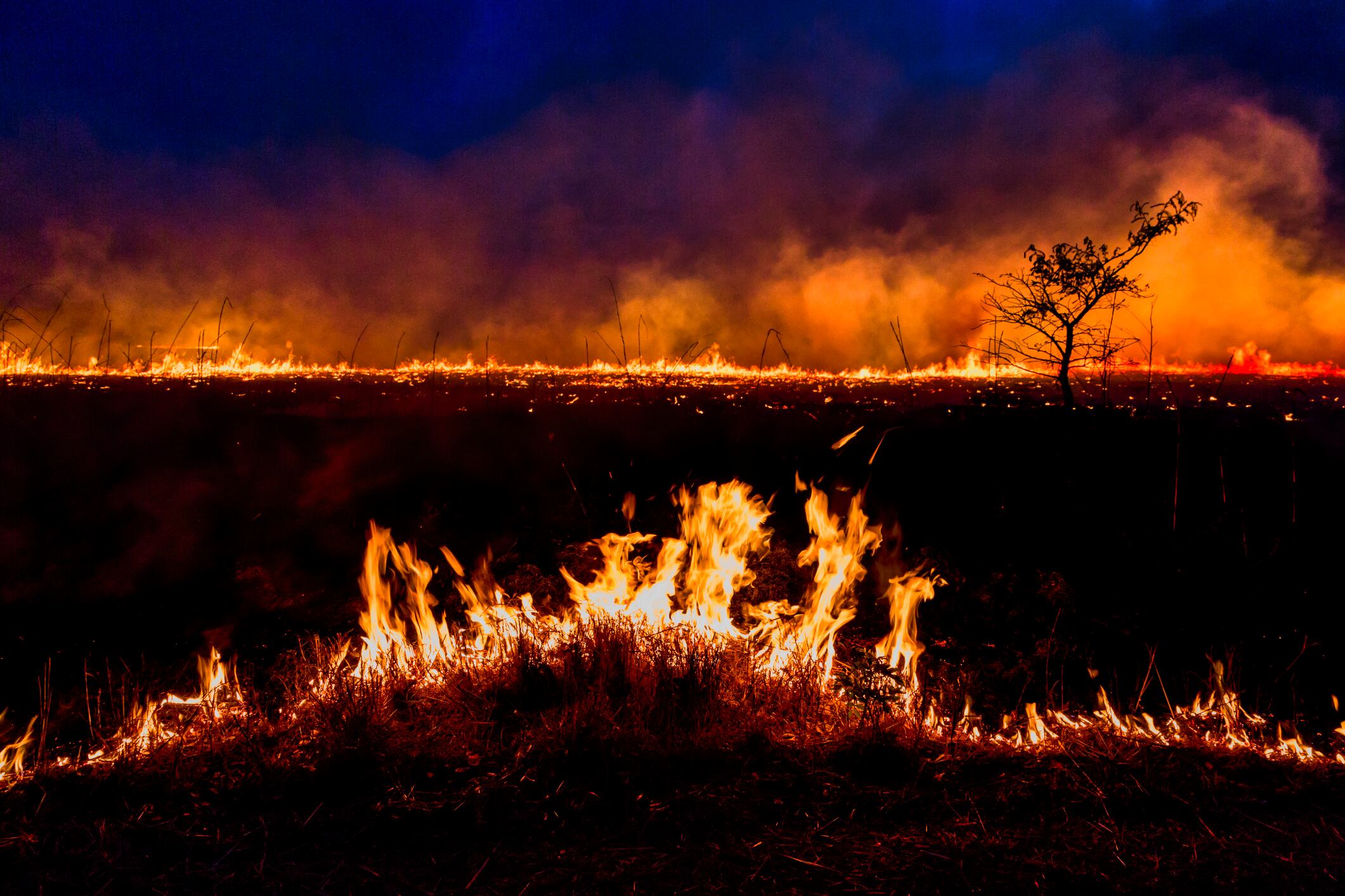 Imagen de referencia de incendio forestal. Foto: Getty Images.