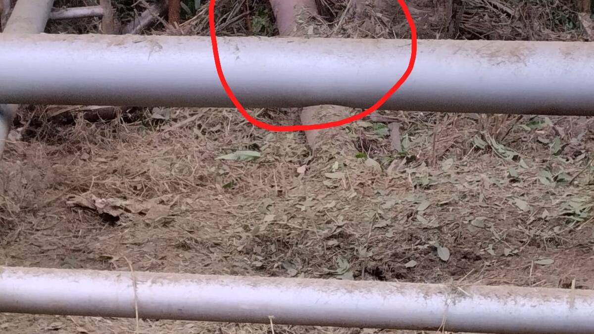 Nuevo ataque a infraestructura de Ecopetrol en Barrancabermeja
