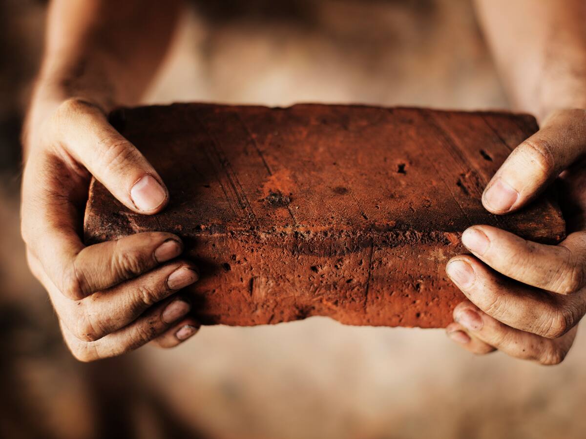 Aterrador: con un ladrillo, joven mató a su mamá y al perro que la defendió en Bogotá